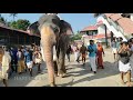 ഗുരുവായൂർ പദ്മനാഭൻ Guruvayoor Padmanabhan Guruvayoor Temple