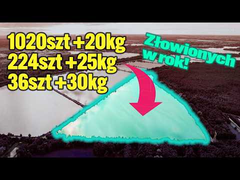 JAK WYGLĄDA NAJDROŻSZE ŁOWISKO KARPIOWE W POLSCE?