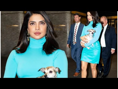 Priyanka Chopra Step  out with dog in Nyc