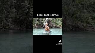 Download lagu jess amalia mandi di kali sexy banget mp3 Download lagu jess amalia mandi di kali sexy banget mp3
