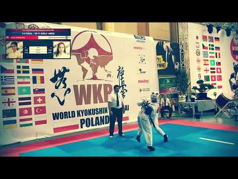 Mistrzostwa Europy WKB Karate Kyokushin Dębica 23.11.2019