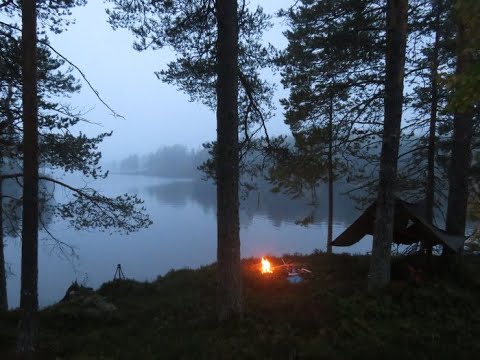 Septemberövernattning med hammock och tarp
