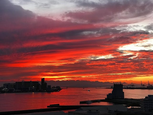 大阪港