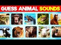 Can You Guess The Animal By The Sound Animal Sounds Quiz
