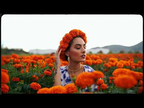 Charles Ans, Ms. Ambar, La Loquera - "Me Toca Perder" (official lyric video)