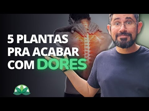 5 plantas para acabar com as dores em pouco tempo