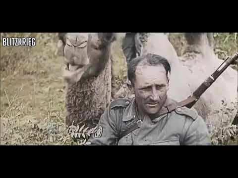 Gebirgsjäger - German Mountain Troops [HD Colour]