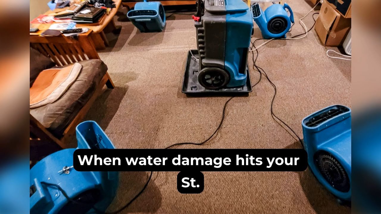 Emergency Water Damage Response: What to Do in the First 24 Hours