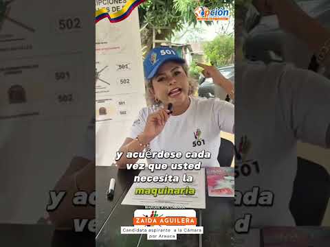 🗳️ Preocupación por garantías electorales en la curul de paz de Arauca