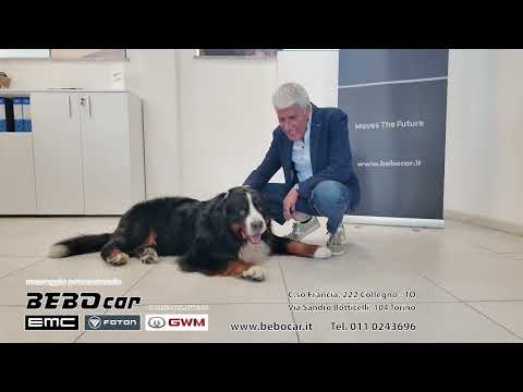 Anteprima video: BEBOCAR EMC FOTON GIUGNO
