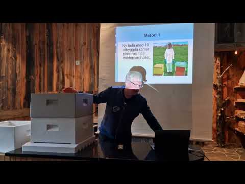 Avläggare och drottningodling