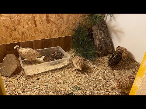 Erste Eindrücke aus dem neuen Stall