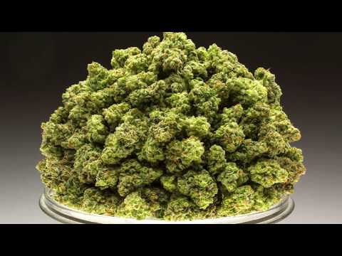 download lagu mp3 mp4 Cryo Cure, download lagu Cryo Cure gratis, unduh video klip Cryo Cure