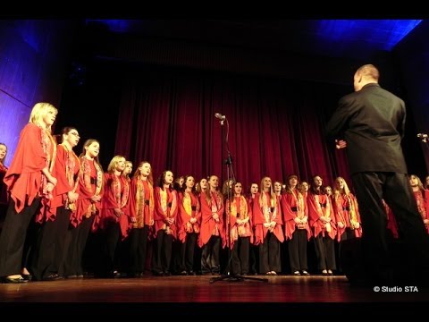 Ukázka: Dívčí pěvecký sbor Ars Voce v Krnově