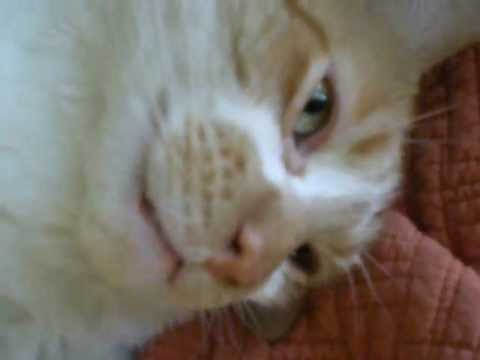 Happy Birthday from Huey gabiturns40