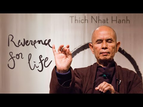 The First Mindfulness Training | Thich Nhat Hanh