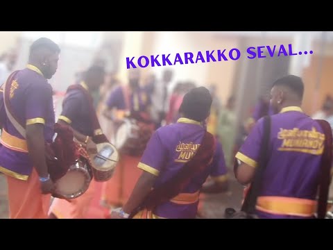 Kokkarakko Seval | Siva Sakthi Muniandy Urumi Melam | Thaipusam 2024 | Perumal Temple
