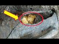 Archaeologists In Italy Unearthed 300 Roman Gold Coins The Treasure Could Be Worth Millions