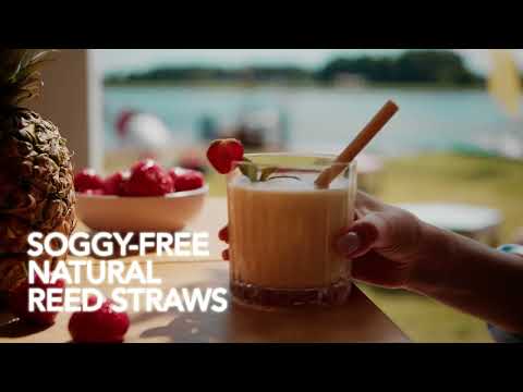 Reedest Jumbo Reed Drinking Straws