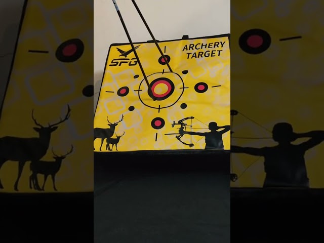 هدف للتصويب محشو من الداخل