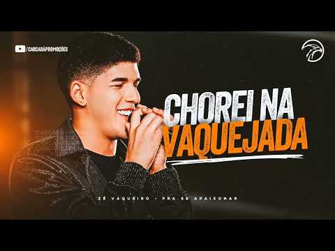 Zé Vaqueiro - Chorei Na Vaquejada (sigam - me no Instagram gente)