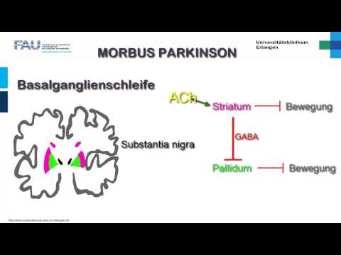 Neuropathology ─ Development of Parkinson's disease