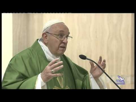 Papa Francesco 24/10/2014 Pietre vive