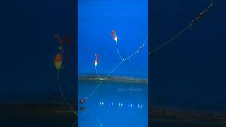 Bottom Fishing Rigs Using Floats #shorts #fishing #tutorial