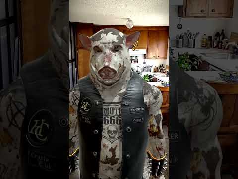 HC Hogz Clubhouse
