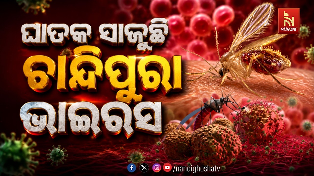 🔴 Live | ଘାତକ ସାଜୁଛି ଚାନ୍ଦିପୁରା ଭାଇରସ | NandighoshaTV