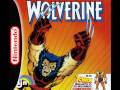 Wolverine Music NES Bonus Room