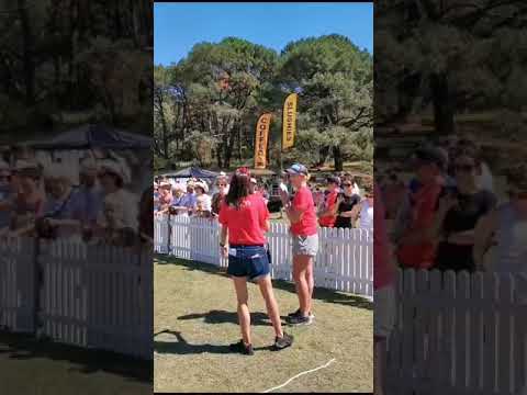 Santa Paws 2023 by Ozzie Tails of Hope