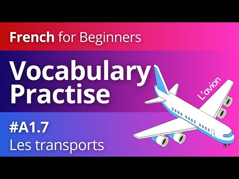 French Vocabulary for Beginners 13 Le Corps