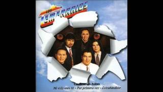 3. Yo Te Amo - Los Temerarios