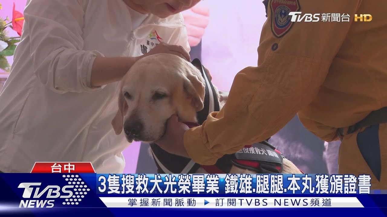 3隻搜救犬光榮畢業 鐵雄、腿腿、本丸獲頒證書