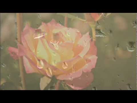 Rain Drops for Rosa Gentle Music by Yasmeen Amina Olya