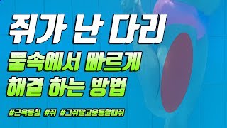 스윔 드릴 마스터 수영 - 쥐가 난 다리 물속에서 빠르게 해결 하는 방법