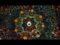 ACID EYE 360 - Psychedelic Deep Dream Fractal Trip