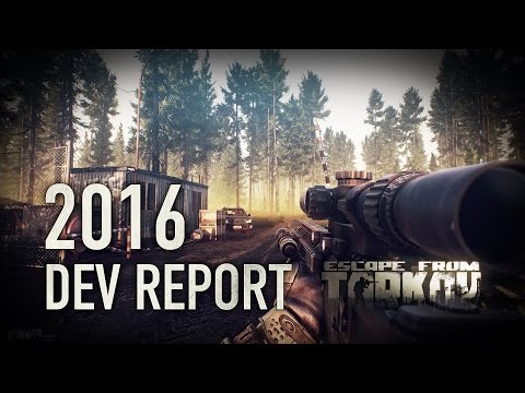 Developer's 2016 Report 