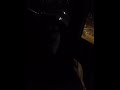 Chat Live Webcam Paltalk Camfrog Cam4 Chat