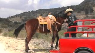 UN PUÑO DE TIERRA CANTA ANTONIO AGUILAR; JOSE LUIS CABEZAS RIOS