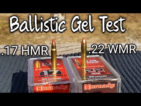 Hornady V-Max .17 HMR vs .22 WMR 22 Magnum Ballistic Gel Test