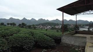 preview picture of video 'Cao nguyen Moc Chau.AVI'