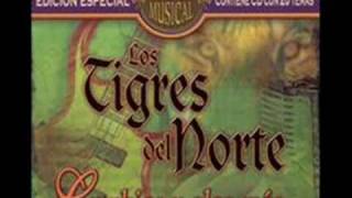 Los Tigres del Norte   Mujeres Manejando