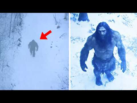 NEW Bigfoot Footage Caught On Camera In Washington Has Changed EVERYTHING!