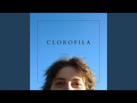 Clorofila