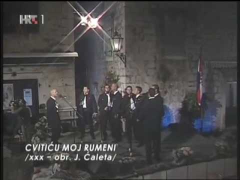 Cvitiću moj rumeni - klapa Braciera - FDK 2009