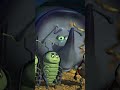 The Show Everyone S Excited About A Bug S Life Disney Kids