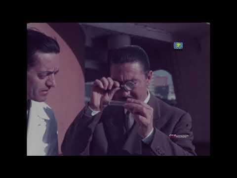 Un chicco di grano (Raffaello Pacini, 1954)