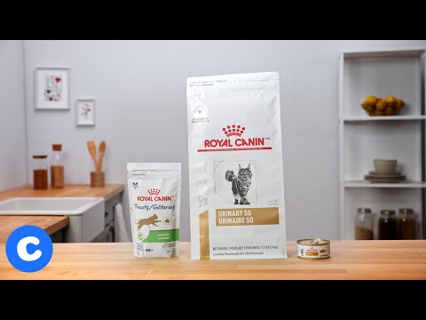 royal canin promo code chewy